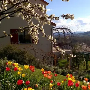 Le Balcon Dallet